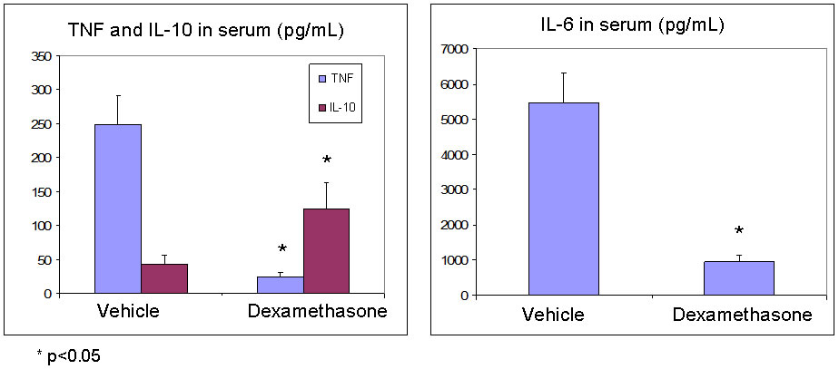 LPS stimulation in vivo - typical results